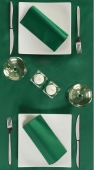 Placemat 30x40 cm Color Verde P30-142